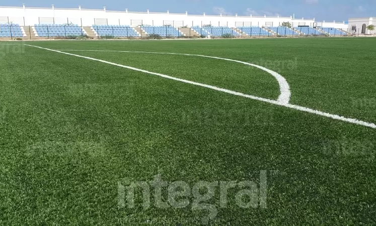 Regular Turf Football Field