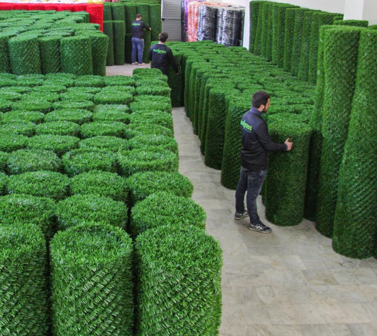 wallgrass-product