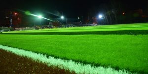 Halı Saha Çim Çeşitleri Nelerdir