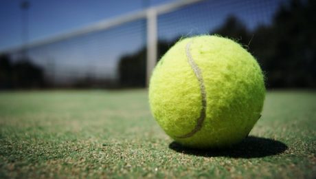 tenis kortu