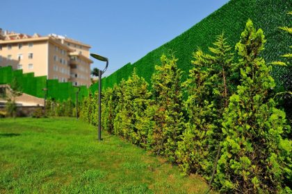 wallgrass Bahçe Düzenlemesinde Ağaçların Önemi! Çimçit ve Suni Çim Kullanılan Bahçeler!