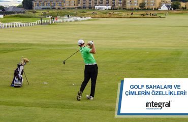 golf sahaları ve çimlerin özellikleri