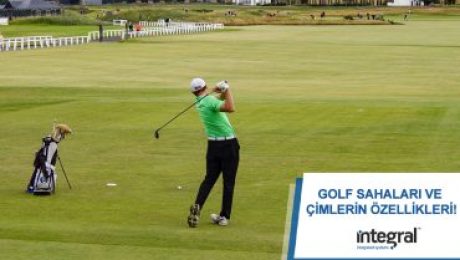 golf sahaları ve çimlerin özellikleri