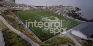 synthetic grass