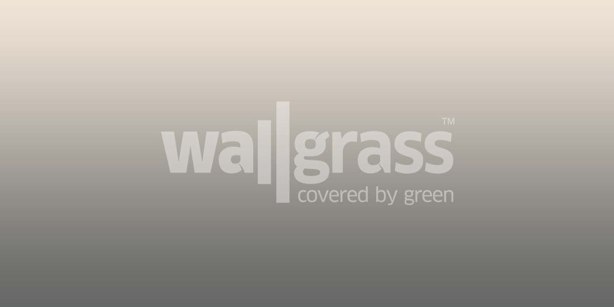 Padel Kortu Yatırımı