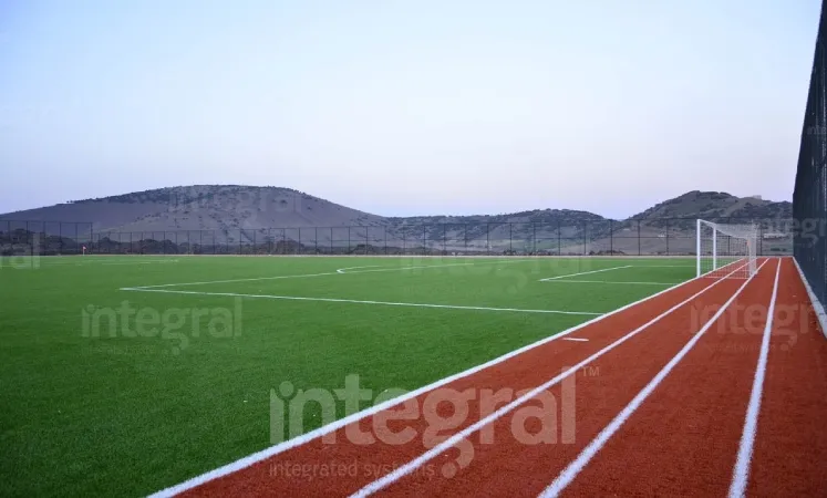 Manisa Regular Astroturf