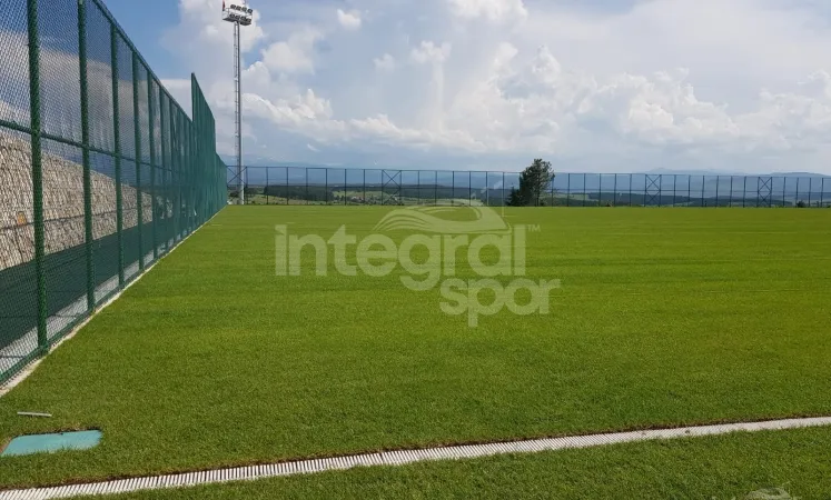 Natural Grass Field
