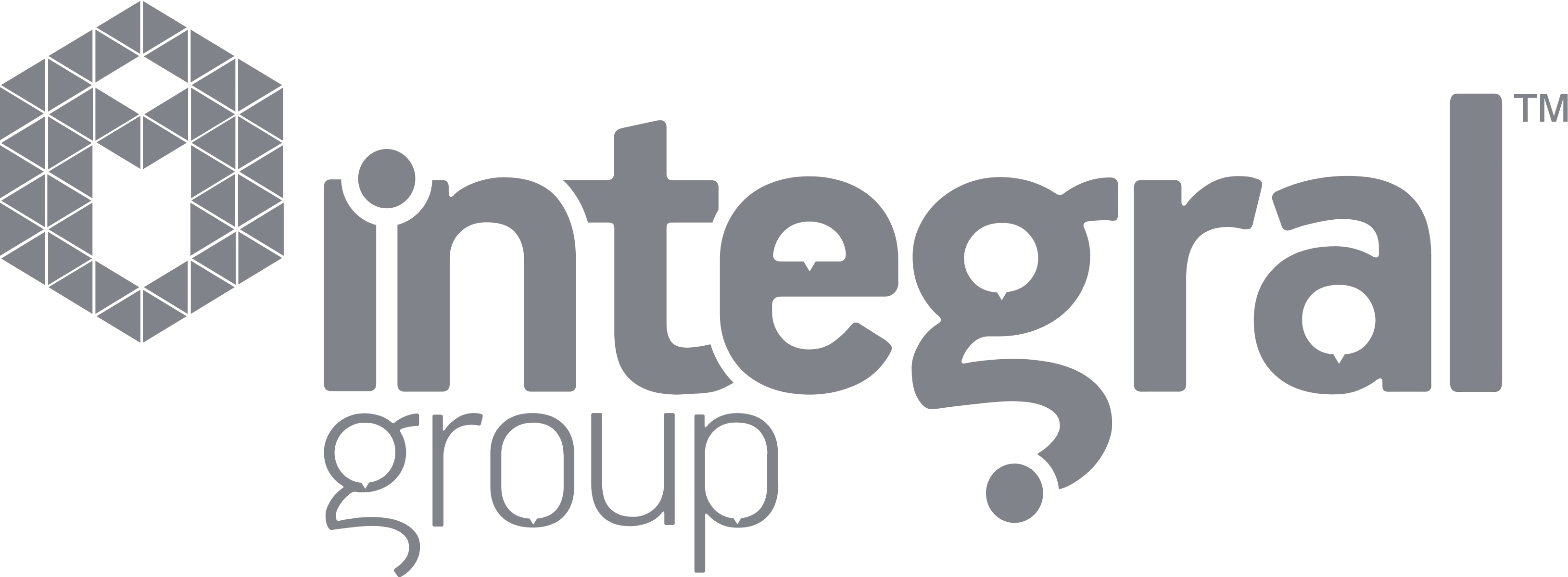 integral-group-logo.webp