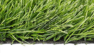 Artificial Grass 1