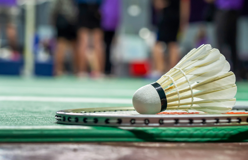 Badminton Courts