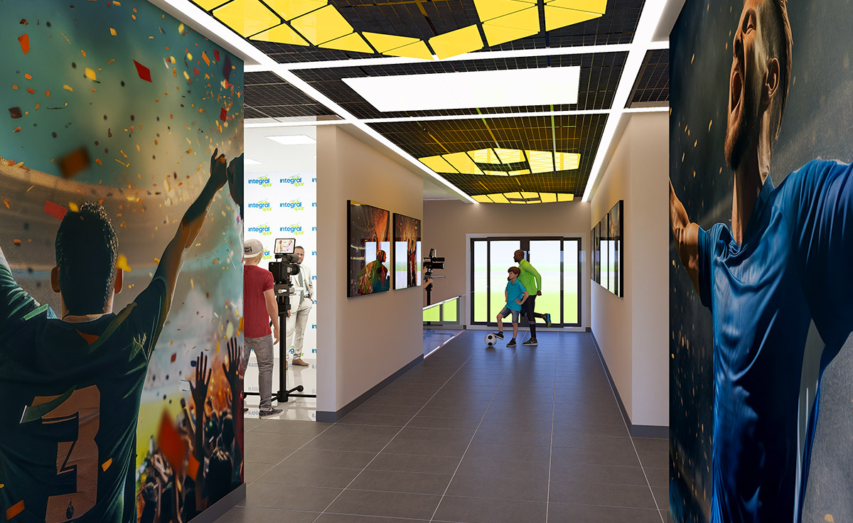 Doğal - Hibrit Çim