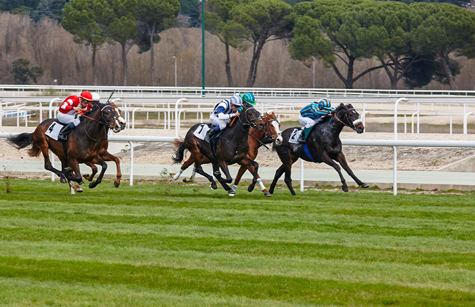 Farklı Zemin Seçenekleri