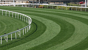 Gece / Gündüz Kullanım