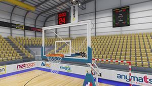 High-Performance Basketball Hoop