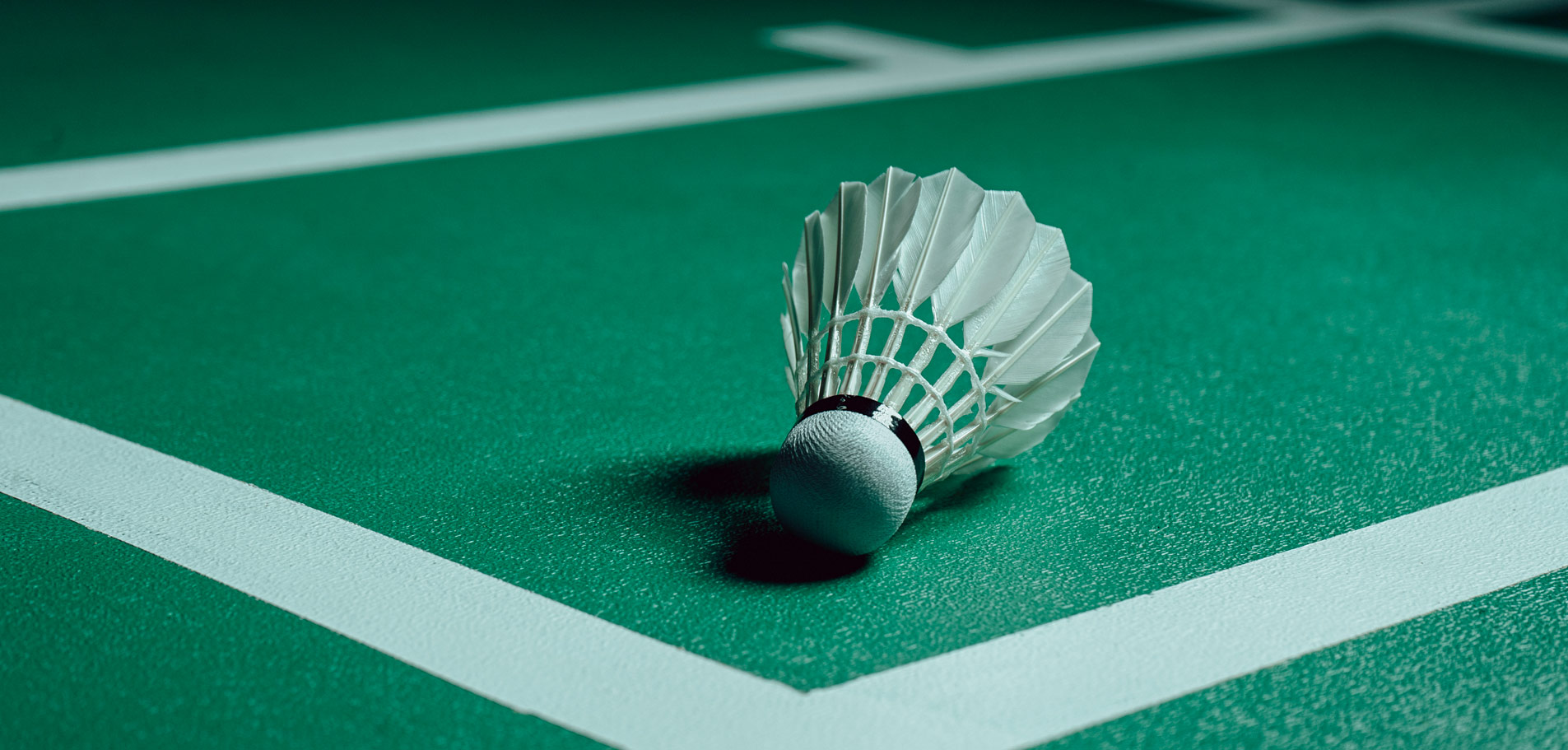 Modular Badminton Courts