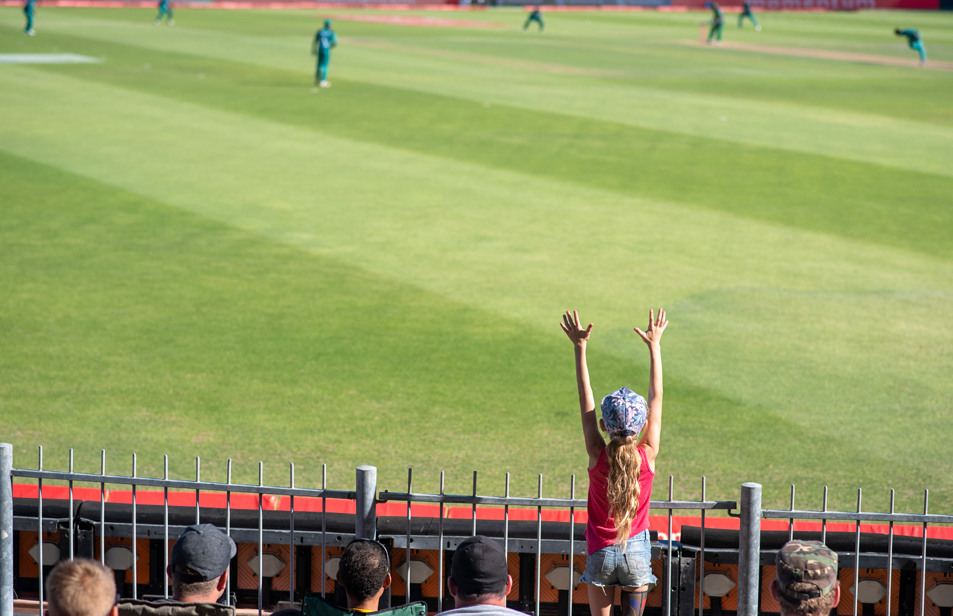 Profesyonel Saha Tasarımı