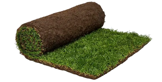 Doğal Çim