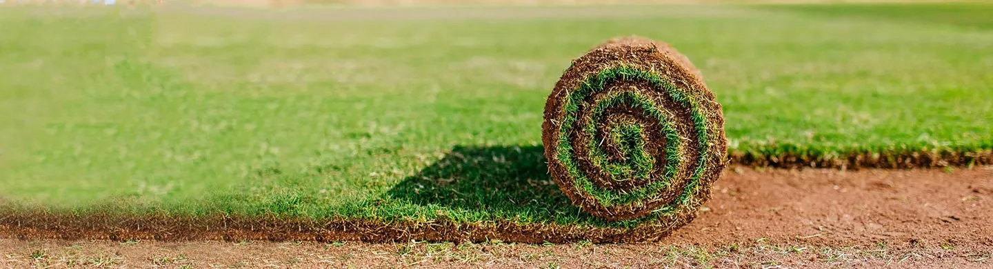 Natural Grass Features